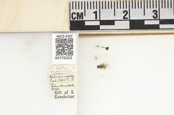 Media type: image;   Entomology 776322 Aspect: Labels